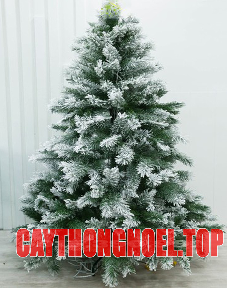 Cây Thông Noel Lá Phủ Tuyết 3m