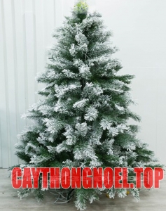 Cây Thông Noel Lá Phủ Tuyết 3m