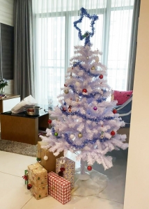 Cây Thông Noel Lá Trắng 1m2